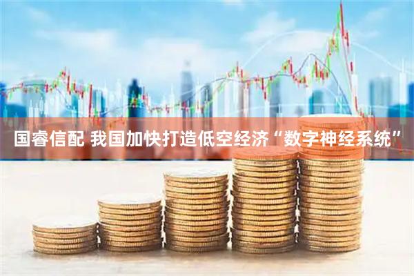 国睿信配 我国加快打造低空经济“数字神经系统”