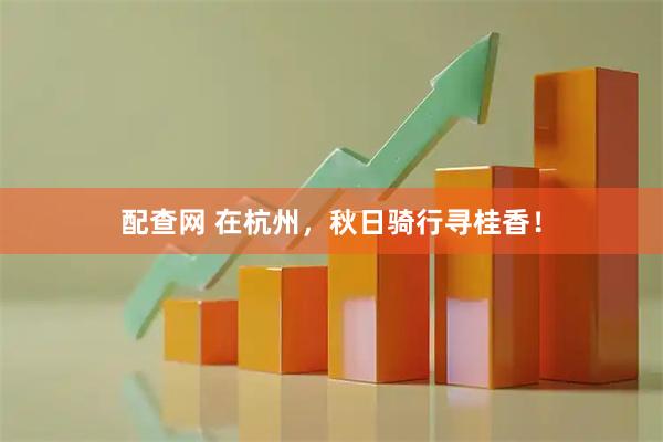 配查网 在杭州，秋日骑行寻桂香！