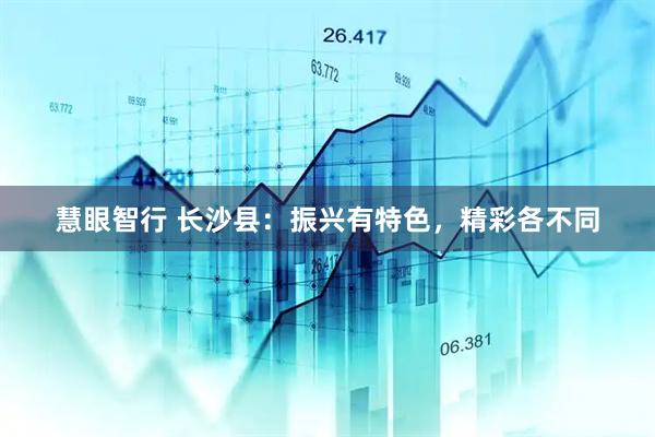 慧眼智行 长沙县：振兴有特色，精彩各不同