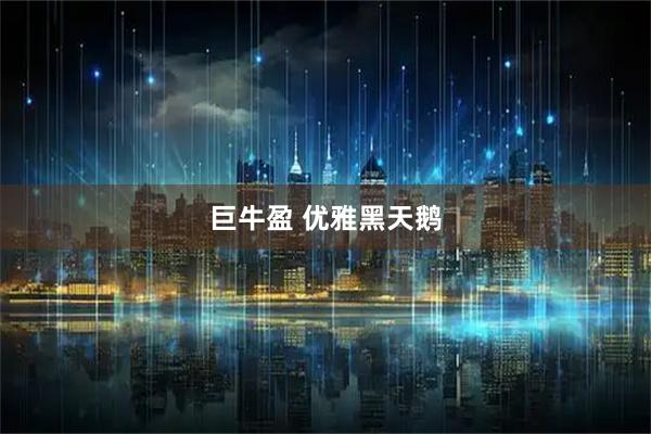 巨牛盈 优雅黑天鹅