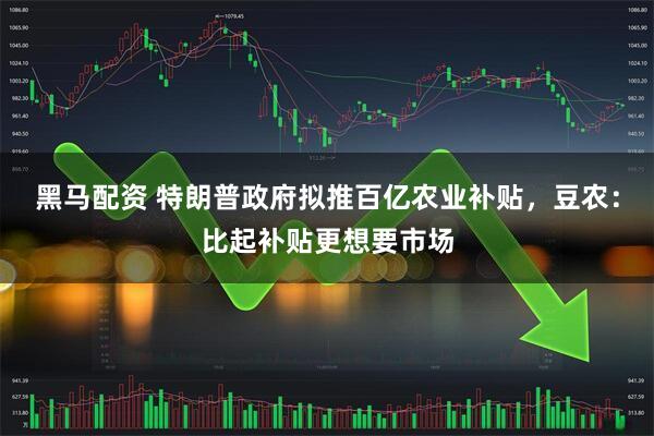 黑马配资 特朗普政府拟推百亿农业补贴，豆农：比起补贴更想要市场
