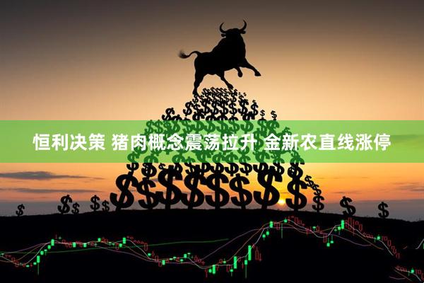 恒利决策 猪肉概念震荡拉升 金新农直线涨停
